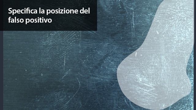 Specifica la posizione del falso positivo