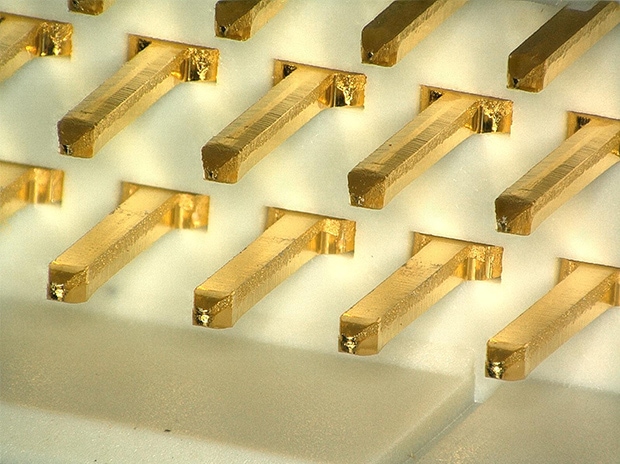 Immagine ingrandita, 40x