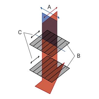 Prismi di Nicol paralleli