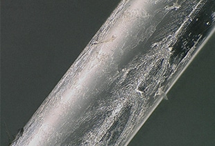 Osservazione di fibre ottiche con un microscopio digitale