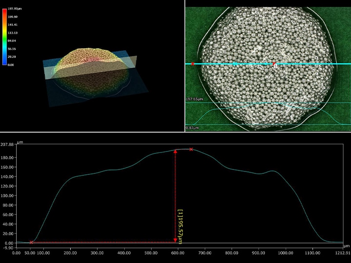 Illuminazione anulare (300x) + Misurazione 3D e misurazione del profilo negli esempi superiore e inferiore