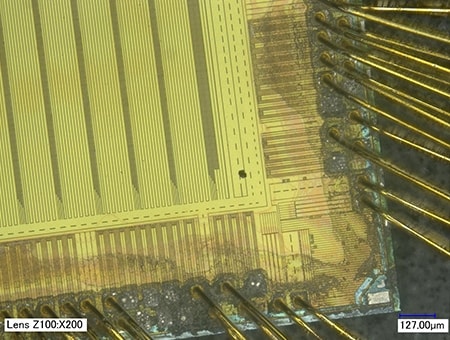 Area con particelle estranee su un chip di circuiti integrati (200x)