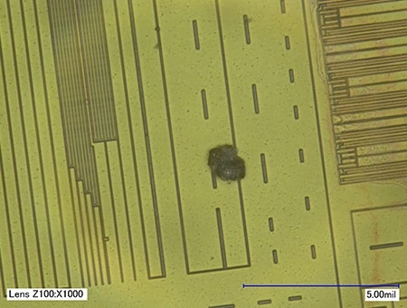 Particelle estranee mescolate in un chip di circuiti integrati (1000x)