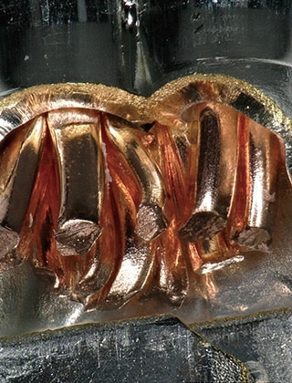 Immagine completamente a fuoco con composizione della profondità (100x)