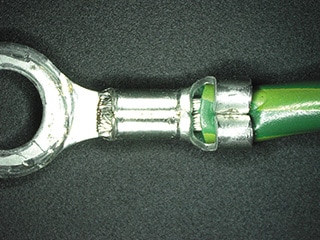 Immagine normale (20x)