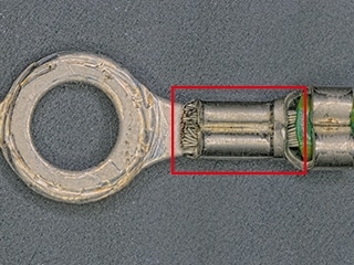 Immagine assemblata (50x)