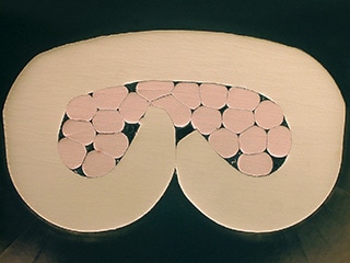 Immagine acquisita (100x)