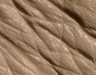 Immagine con illuminazione multiangolare della texture della pelle (replica della pelle)