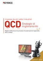 Imparare da altri settori industriali QCD Strategie di miglioramento Vol.1 Migliore efficienza nei processi di osservazione ingrandita, test e analisi