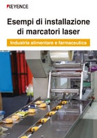 Esempi di installazione di marcatori laser Industria alimentare e farmaceutica
